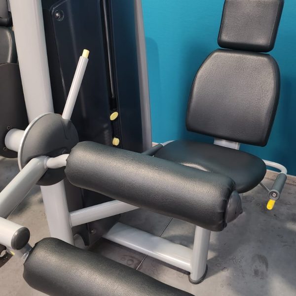 leg curl technogym - ried en forme marckolsheim