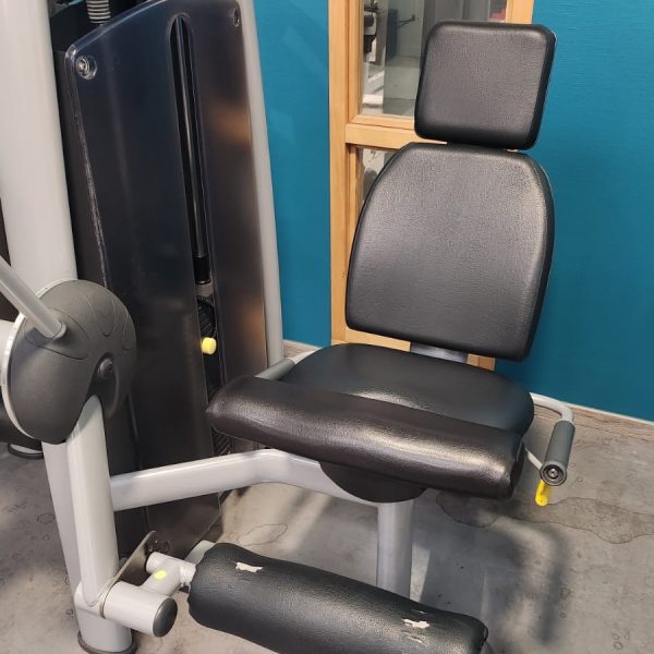 leg extension technogym - ried en forme marckolsheim